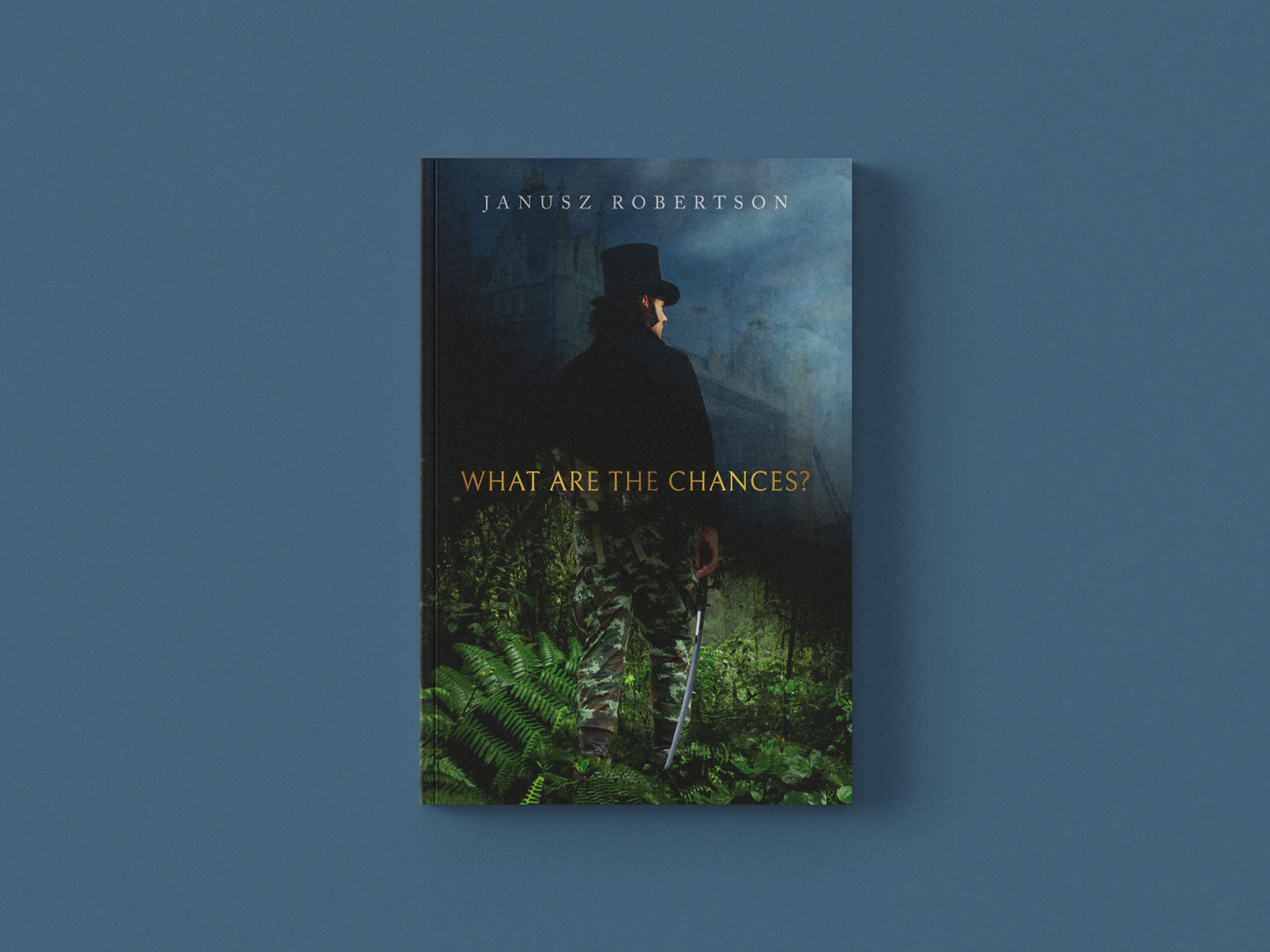 What are the Chances project - A fiction novel