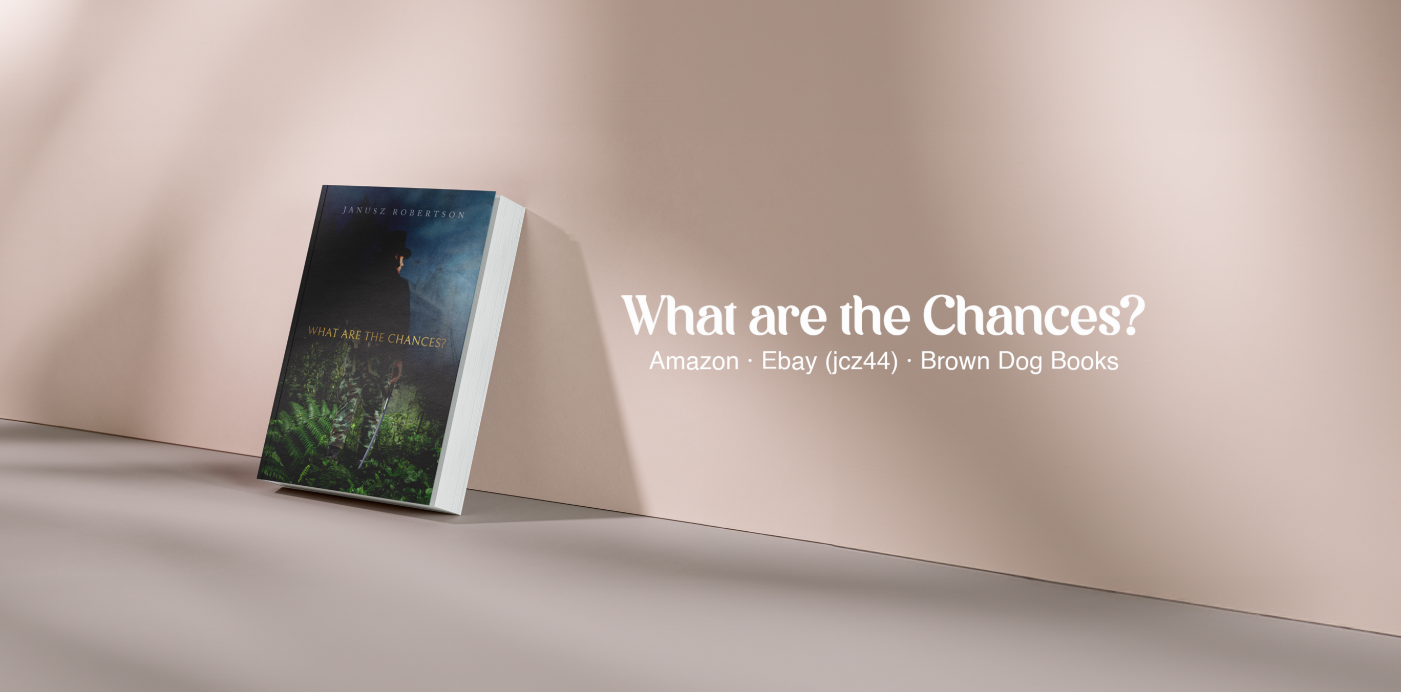 What are the Chances book cover